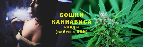 сатива Аркадак