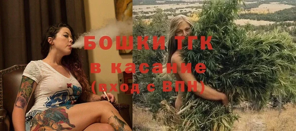 сатива Аркадак
