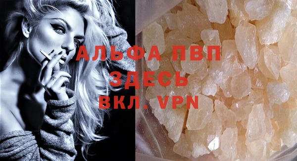 сатива Аркадак