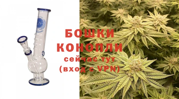 сатива Аркадак