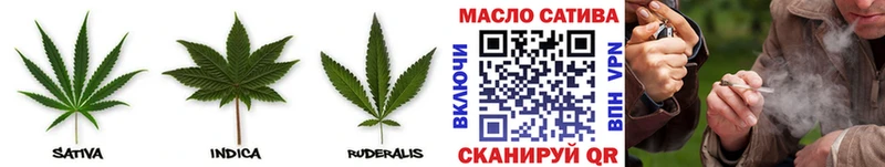 Купить закладки  Вытегра  ТГК концентрат 